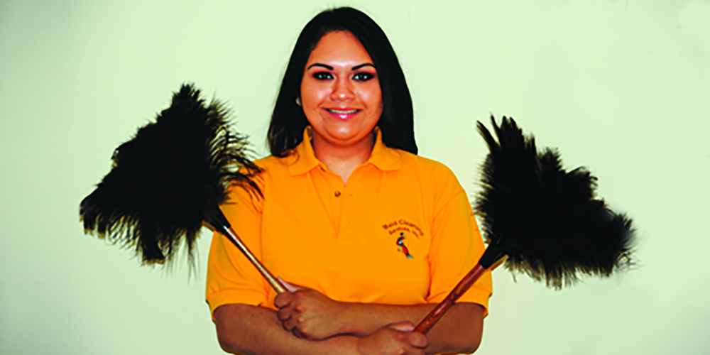 Northern Virginia Maid Cleaning Services 12 Fairfax County VA